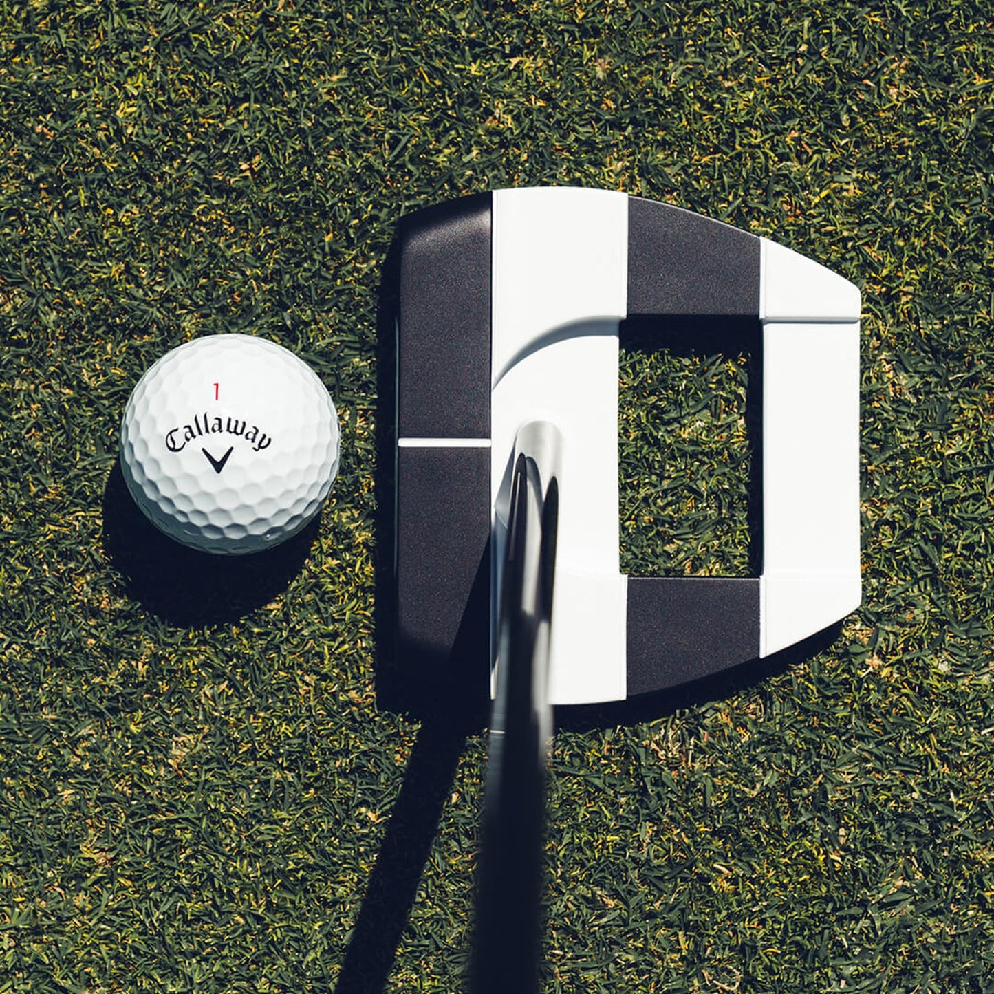 An image of an Odyssey S2S AI-Dual Jailbird OS Putter on a white background