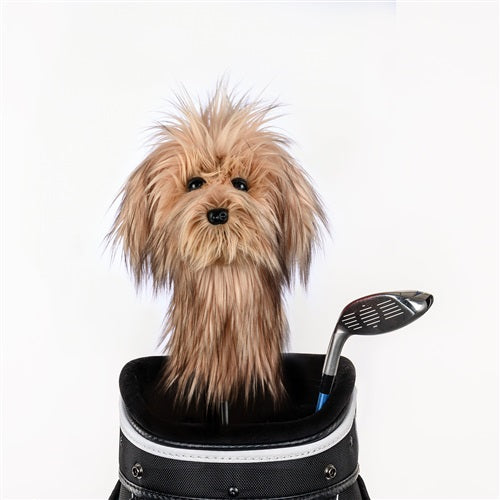 Daphne's Headcover - Scruffy Dog