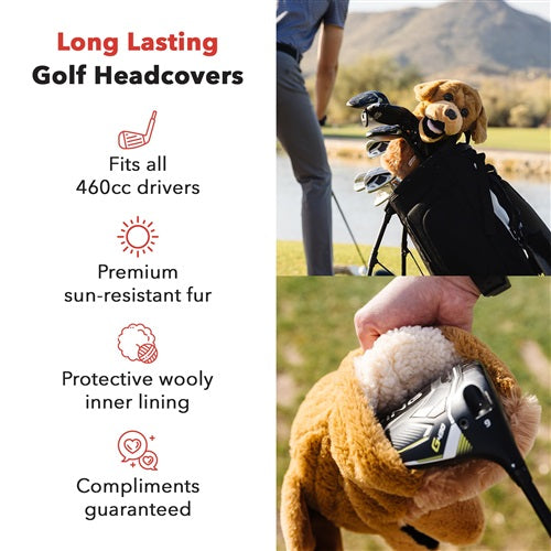 Daphne's Headcover - Golden Retriever