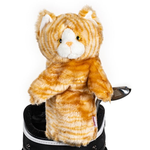 Daphne's Headcover - Tabby Cat