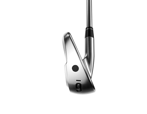 Callaway Apex TI Fuion 250 Iron Set - 6-PA - Graphite R-Flex
