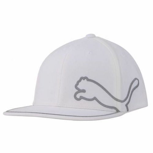 Puma Monoline 110 Snapback Cap - Bright White-Quiet Shade